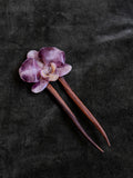 Hiedra